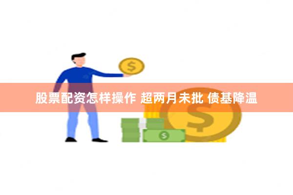 股票配资怎样操作 超两月未批 债基降温