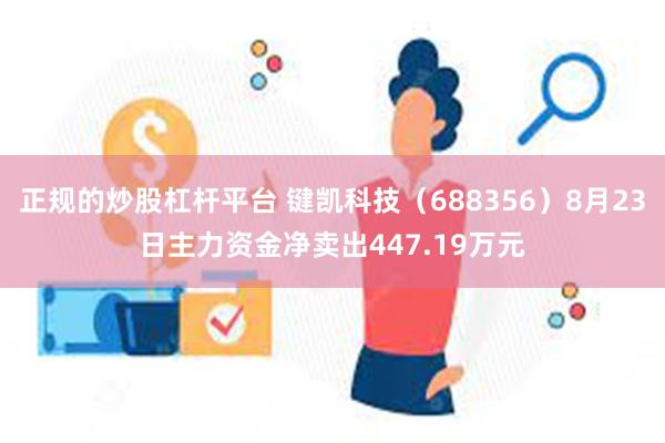 正规的炒股杠杆平台 键凯科技（688356）8月23日主力资金净卖出447.19万元