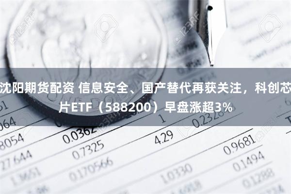 沈阳期货配资 信息安全、国产替代再获关注，科创芯片ETF（588200）早盘涨超3%