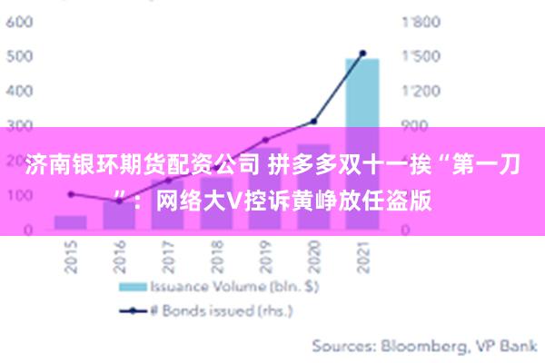 济南银环期货配资公司 拼多多双十一挨“第一刀”：网络大V控诉黄峥放任盗版