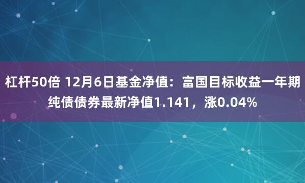 杠杆50倍 12月6日基金净值：富国目标收益一年期纯债债券最新净值1.141，涨0.04%