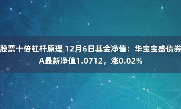 股票十倍杠杆原理 12月6日基金净值：华宝宝盛债券A最新净值1.0712，涨0.02%