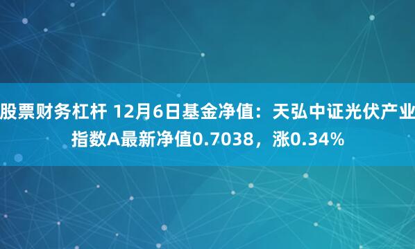 股票财务杠杆 12月6日基金净值：天弘中证光伏产业指数A最新净值0.7038，涨0.34%