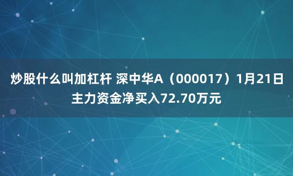 炒股什么叫加杠杆 深中华A（000017）1月21日主力资金净买入72.70万元