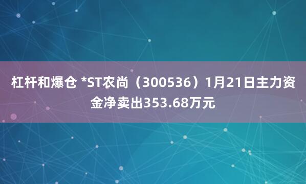 杠杆和爆仓 *ST农尚（300536）1月21日主力资金净卖出353.68万元