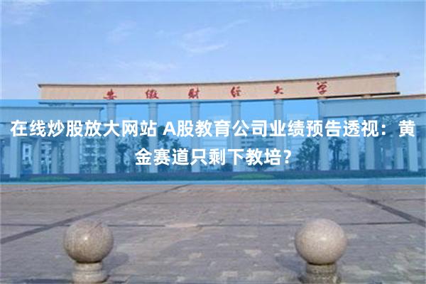 在线炒股放大网站 A股教育公司业绩预告透视：黄金赛道只剩下教培？