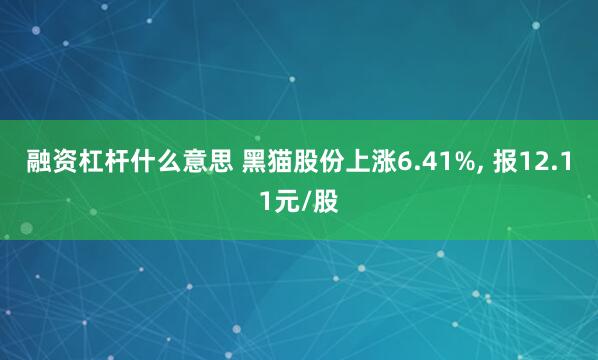 融资杠杆什么意思 黑猫股份上涨6.41%, 报12.11元/股